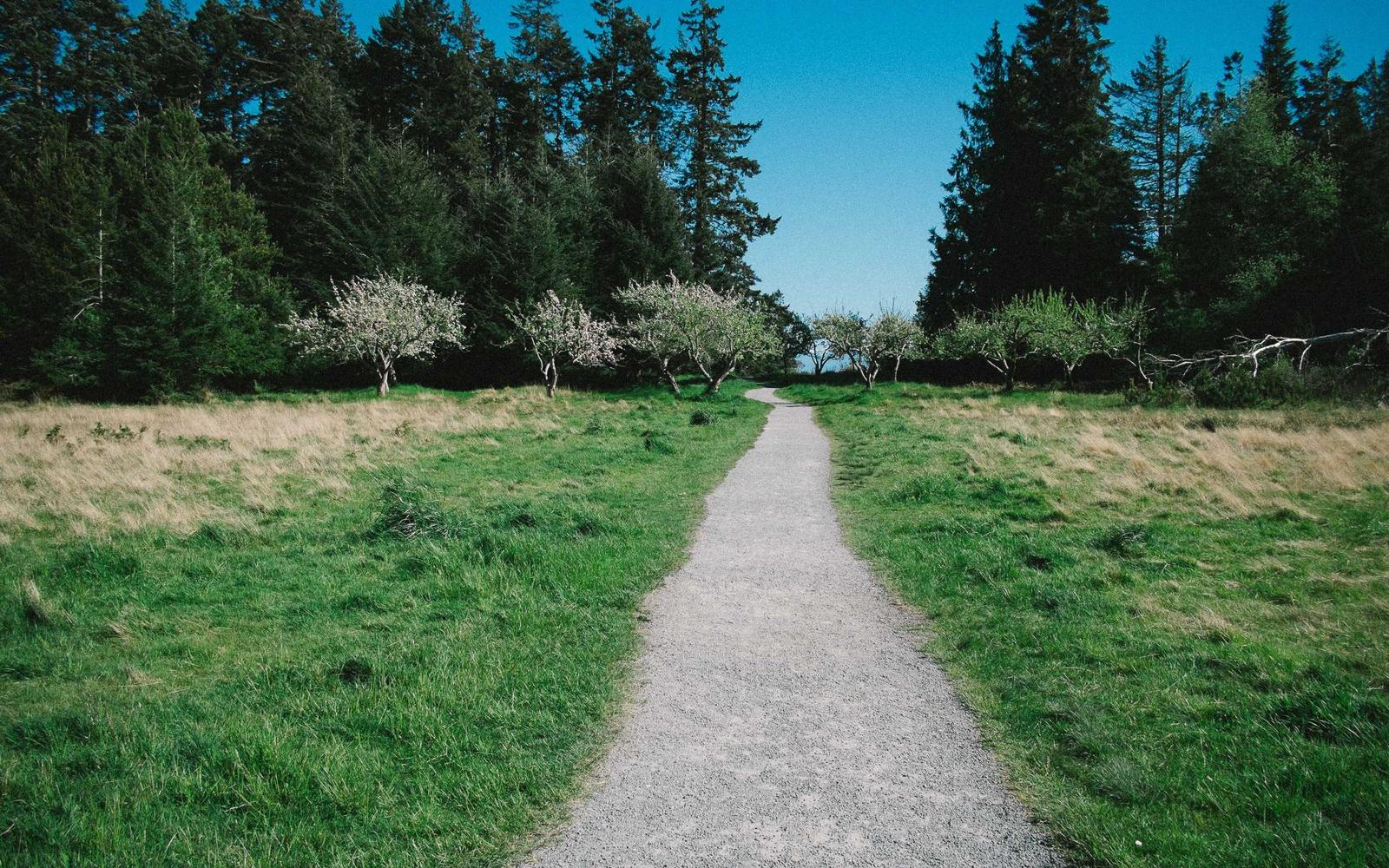 Tasting event table with cleans