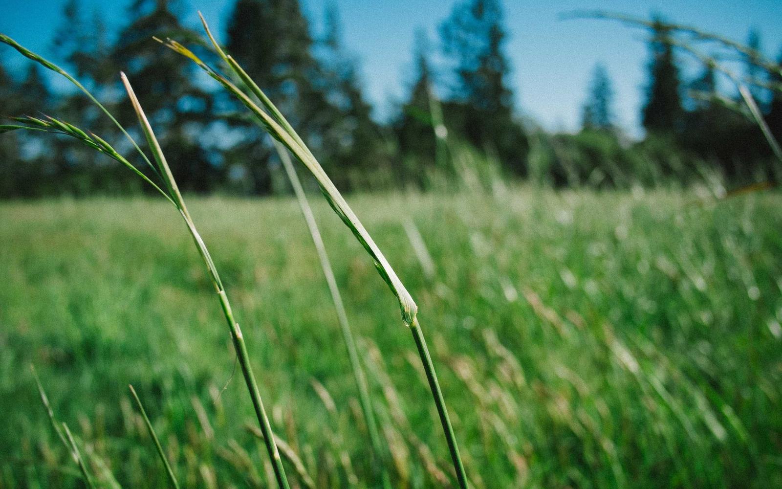 Hands-on food workshop table